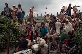 Rohingya Genocide